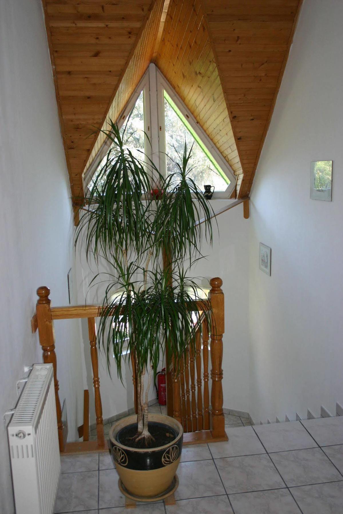 Lorelei Pension Adults Only Gyenesdiás Eksteriør billede