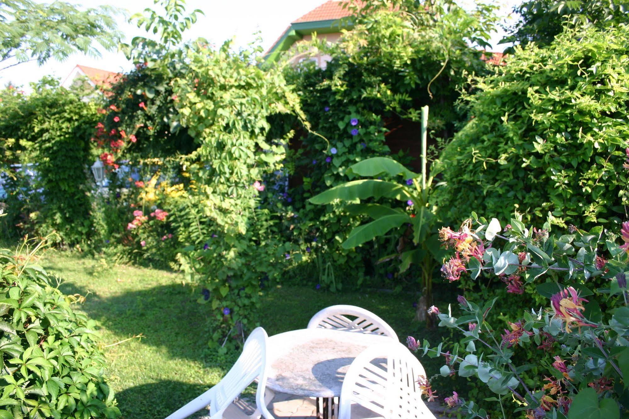 Lorelei Pension Adults Only Gyenesdiás Eksteriør billede